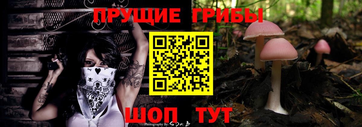 Галлюциногенные грибы Cubensis  Вход с VPN  Красноярск 
